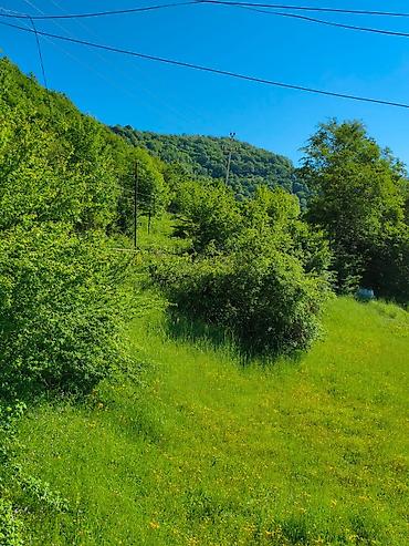 4 otaqlı ev certyojları: 3 otaqlı, 150 kv. m, Kredit yoxdur, Yeni təmirli — 3