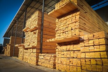 срочно требуется на работу без опыта: Тактай кампага жумуш издейм опыт 5 жыл. тел + ватсап