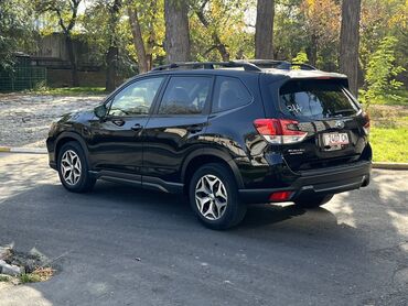 дом на колесах цены: Subaru Forester: 2020 г., 2.5 л, Вариатор, Бензин, Кроссовер