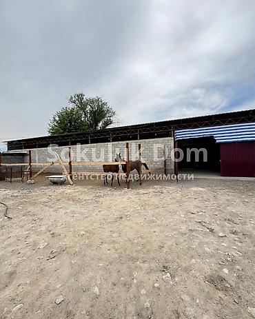 archa group: 1 комната, 300 м², 14 соток, Сокулук, Агентство недвижимости — 9
