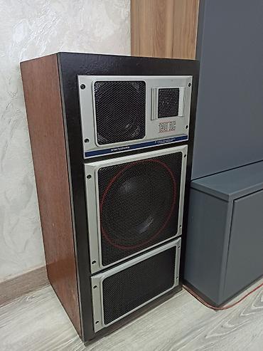 jamo 6 5cs t: Retro akustik sistemi və gücləndirici - Akustik kolonlar: 3-yollu — 2