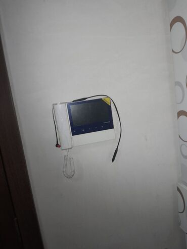 Çöl bitkiləri: Zabrat 2 stansiyasına yaxındir. sənəd kupça avtobus dayanacağına — 14