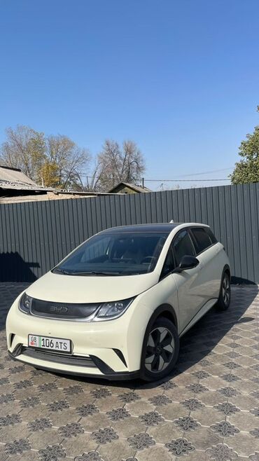 мерседес дельфин пасажир: BYD Dolphin: 2024 г., Электромобиль, Хэтчбэк