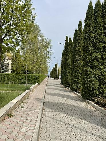 котедж пантера: Коттедж, Кейсар, Чолпон-Ата — 6