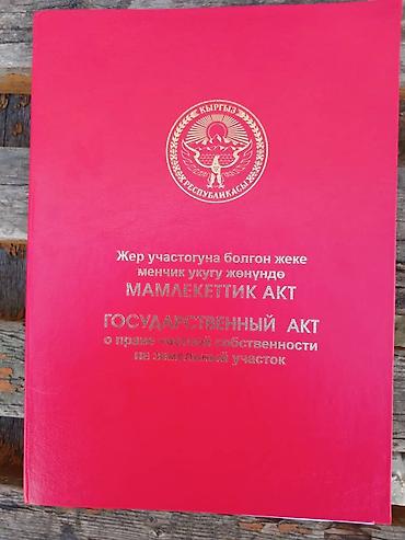 80: 180 соток, Красная книга — 1
