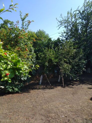 Həyət evləri və villaların satışı: 3 otaqlı, 65 kv. m, Kredit yoxdur, Orta təmir -da lalafo.az — 9 Həyət evləri və villaların satışı: 3 otaqlı, 65 kv. m, Kredit yoxdur, Orta təmir — 9