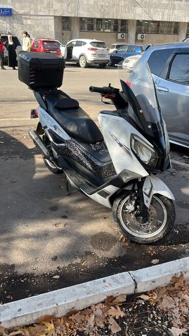 багажник скутера: Скутер/максискутер с ветровым стеклом и кофром - Кузов: спортивный