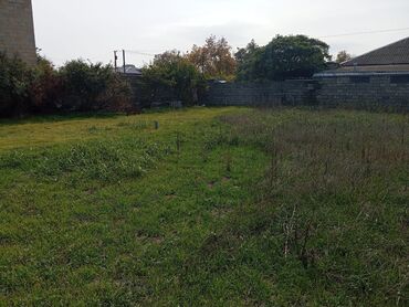 дома в аренду: Tikinti