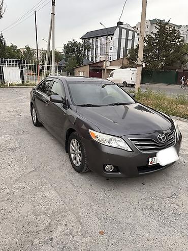 потолок камри: Toyota Camry: 2011 г., 2.5 л, Автомат, Бензин, Седан — 2