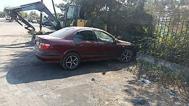 Nissan Almera: 2002 г., 1.5 л, Механика, Бензин, Седан