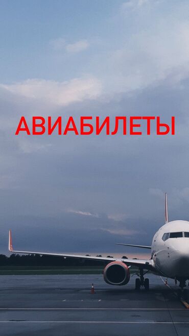 баранина цена бишкек: Отправься в путешествие своей мечты! ✈️ Лети по выгодным ценам с