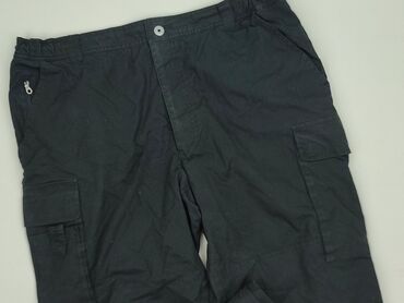 temu spodnie hello kitty: Chinos for men, size L (EU 40)