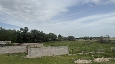 Сельхоз предприятия: Продаю Кошара, 100 соток, Действующий, Скважина, Холодная вода, Электричество — 7