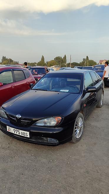 Nissan Primera: 2000 г., Седан