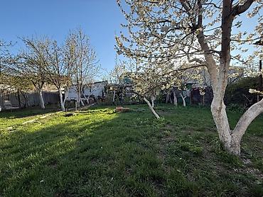 Продажа коттеджей и домов: 🏡 Продается дом! 📍 г. Каракол, ул. Алыбакова, в 5 минутах от центра — 12