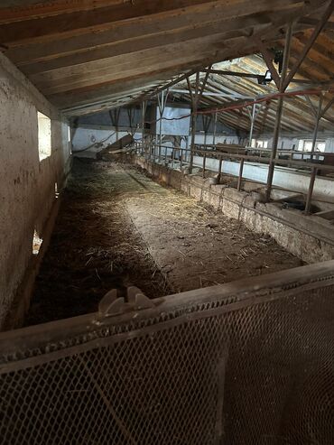 Продажа домов: Времянка, 400 м², 2 комнаты, Собственник — 13