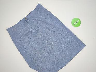 spódnice midi plus size: Spódnica damska, rozmiar 2XL — 3