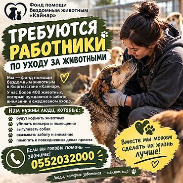 Сельское хозяйство: Вакансия: сотрудники по уходу за животными Требуются работники по — 1