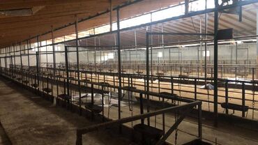 Torpaq sahələrinin satışı: 48 sot, Kənd təsərrüfatı, Makler, Kupça (Çıxarış) — 6