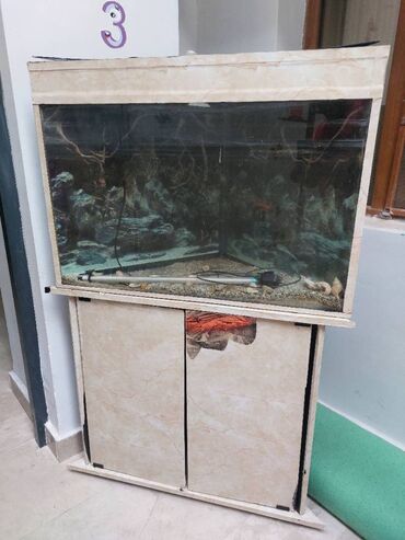 akvarium filter: Akvarium-şkaf, Boş, 105 l