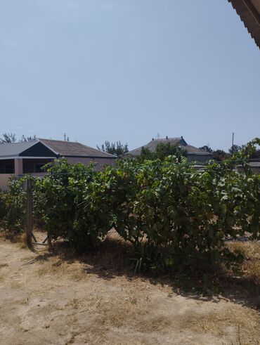 Qarajlar: Qobustan qəs. 3 otaqlı, 1200 kv. m, Kredit yoxdur, Təmirsiz