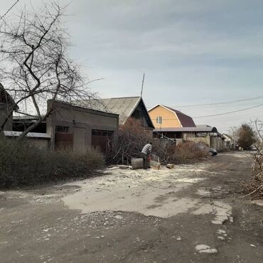 Спил деревьев, заготовка дров: Спилить дерево! Нет проблем. Очистить от разросшихся кустарников и at lalafo.kg — 9 Спил деревьев, заготовка дров: Спилить дерево! Нет проблем. Очистить от разросшихся кустарников и — 9