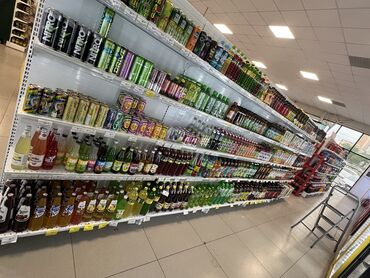 работа в лагере: Сатуучу консультант, Тажрыйбасыз, Студент