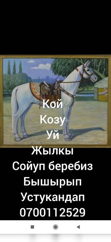 выкачать канализацию: Көчмө банкеттер