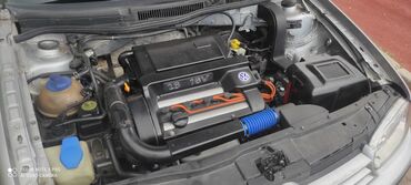 Volkswagen: Volkswagen Golf: 2000 г., 1.6 л, Механика, Бензин, Хэтчбэк at lalafo.kg — 8 Volkswagen: Volkswagen Golf: 2000 г., 1.6 л, Механика, Бензин, Хэтчбэк — 8