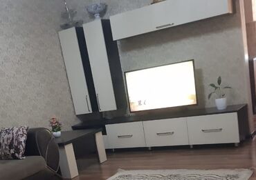 televizor atlığı: İşlənmiş, Düz TV altlığı, Polkalı, Taxtalı, Türkiyə