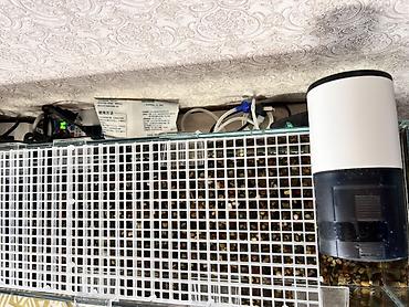 Аквариумы: Комплект для аквариумиста: стеклянный аквариум панорамного типа с — 3