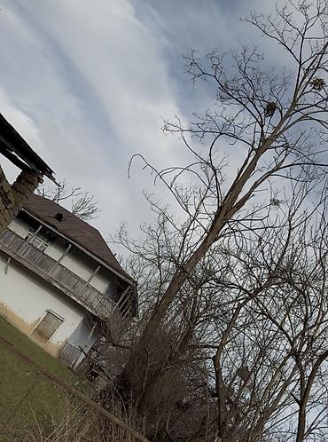 Torpaq sahələrinin satışı: 20 sot, Tikinti, Barter mümkündür, Kupça (Çıxarış) — 10