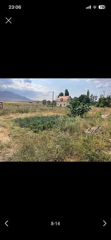 Теплицы: Тепличный комплекс каркасного типа - Арочные теплицы на металлическом — 8