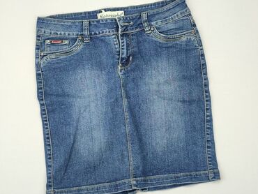spódnice jeansowe plisowane: Spódnica, L, stan - Zadowalający