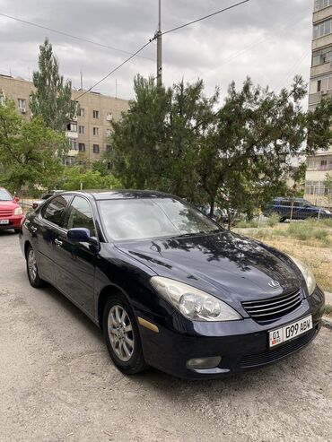 Lexus: Lexus ES: 2003 г., 3 л, Автомат, Бензин, Седан