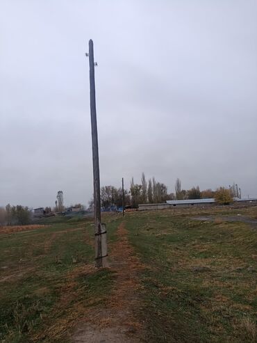 коса м50: Деревянная опора (столб) для ЛЭП/освещения - Высокая деревянная опора