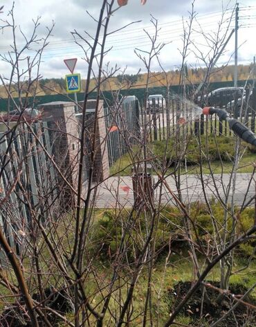 Другие услуги: Садовник! Готовим Сад к Зиме! Обработка Сада! Осенняя обрезка и — 4