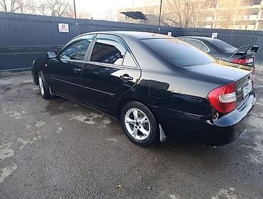 camry 80: Toyota Camry: 2003 г., 3 л, Автомат, Газ, Седан — 5