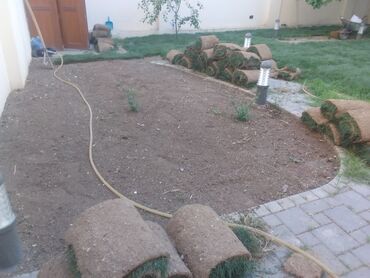 Şitillər: Qazon satışı enli yarpaq danimarka toxumuyla əkilmə qazon satışını -da lalafo.az — 4 Şitillər: Qazon satışı enli yarpaq danimarka toxumuyla əkilmə qazon satışını — 4