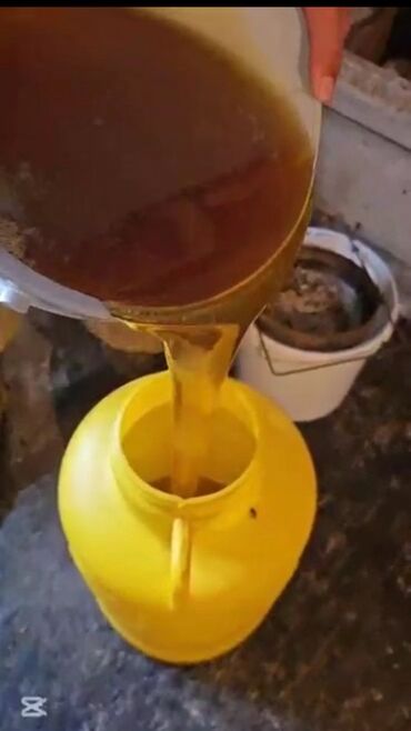 сундук деревянный ручной работы: Натуральный мёд в канистре. Продам сразу 1000 Кг только пишите за кг