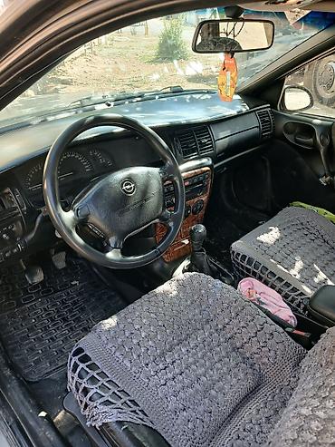 Opel: Opel Vectra B sedan - Kuzov: 4 qapılı sedan, boz rəng - Mühərrik və — 3