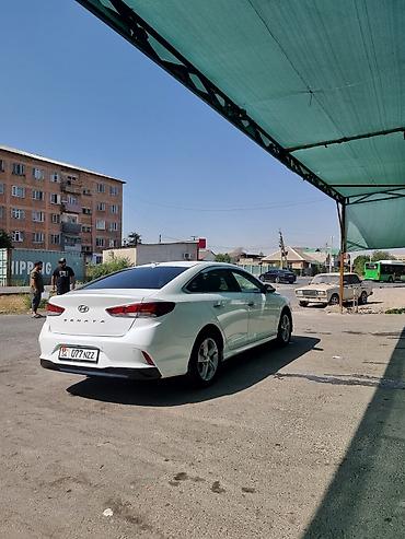 infinity fx35: Hyundai Sonata: 2020 г., 2 л, Автомат, Газ, Седан — 6
