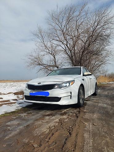 Kia: Kia Optima: 2017 г., 1.6 л, Автомат, Бензин, Седан — 6