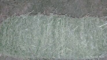 корма сено: Клевер зелённые 50 шт