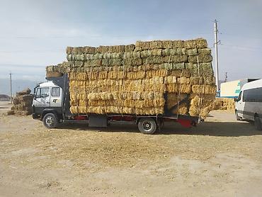 Грузовики: Грузовик, Mercedes-Benz, Стандарт, 7 т, Б/у — 6