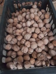 кедровые орехи цена бишкек: ОРЕХИ ГРЕЦКИЕ. Осталось - 50,60 кг. Сухие, урожай этого года