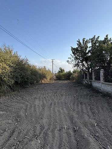 5 соток, Красная книга