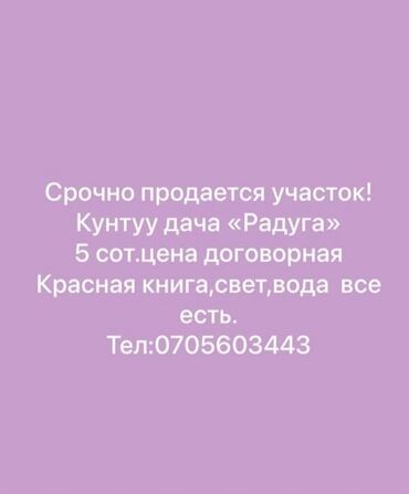 сдаю веремянку: Курулуш, Кызыл китеп