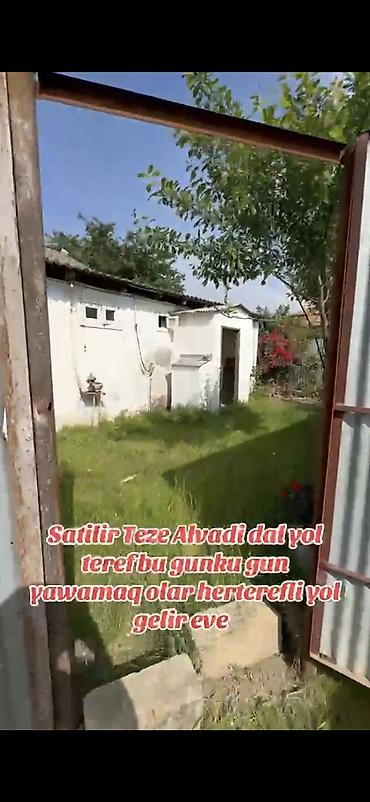 3 otaqlı kiraye evler: Satılır: Masallı r., Təzə Alvadı kəndində satılıq həyət evi / torpaq — 1