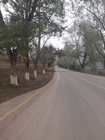 Torpaq sahələrinin satışı: 24 sot, Mülkiyyətçi, Kupça (Çıxarış) -da lalafo.az — 6 Torpaq sahələrinin satışı: 24 sot, Mülkiyyətçi, Kupça (Çıxarış) — 6